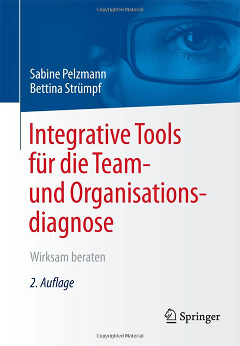 Integrative Tools für die Team- und Organisationsdiagnose. Wirksam beraten.